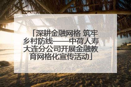深耕金融网格 筑牢乡村防线——中荷人寿大连分公司开展金融教育网格化宣传活动